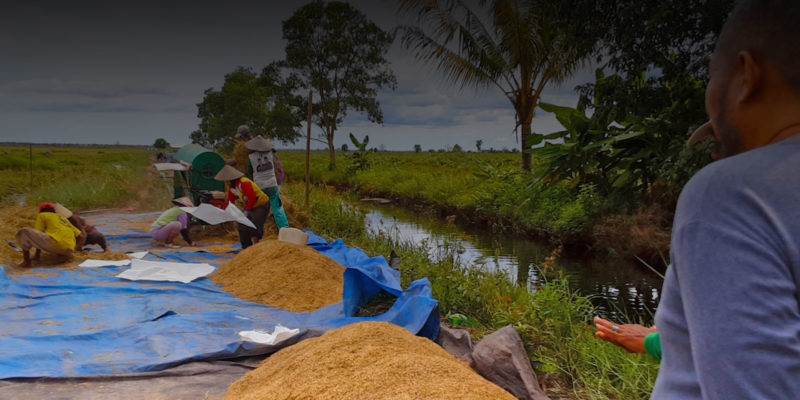 Pengembangan Kawasan Bisnis Perdesaan Pulang Pisau-Kalimantan Tengah
