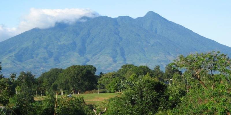 Incorporation of Forest regrowth using Arenga and socioeconomic improvement in Gunung Halimun Salak National Park.